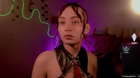 cata__mw online show from 11, 4, 2026