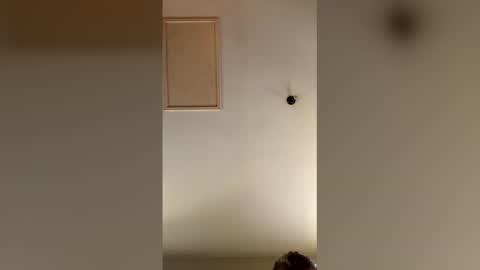 catalin40mosu online show from 27, 4, 2026