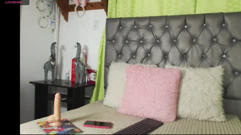 Snapshot of catalina_ada chatting on 13, 1, 2025 catalina ada online show from 13, 1, 2025