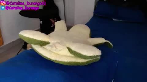 Snapshot of catalina_durango18 chatting on 22, 11, 2025 Catalina Durango online show from 22, 11, 2025