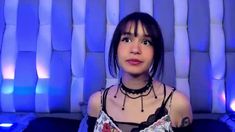 Cat  online show from 2, 12, 2024