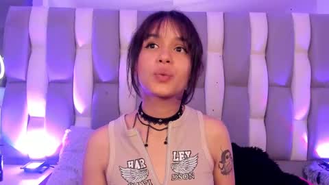 Cat  online show from 6, 12, 2024