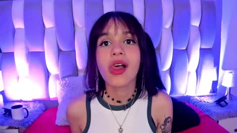 Cat  online show from 13, 12, 2024