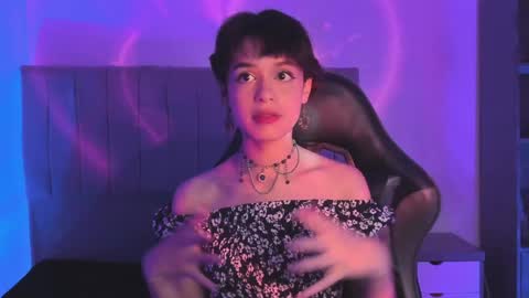 Cat  online show from 13, 1, 2025