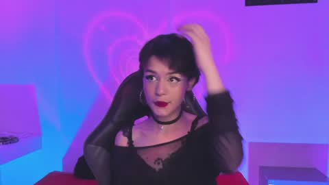 Cat  online show from 14, 1, 2025