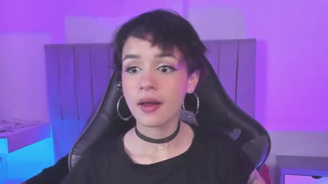 Cat  online show from 17, 1, 2025