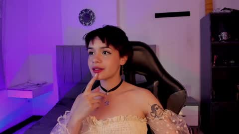 Cat  online show from 24, 1, 2025