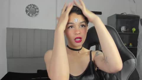 Cat  online show from 17, 2, 2025