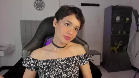 Cat  online show from 18, 2, 2025