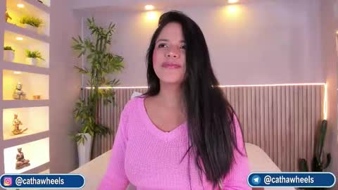 CATA  online show from 13, 3, 2026