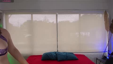 Catleya  online show from 28, 11, 2025