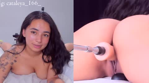 Snapshot of cattleya_annie chatting on 31, 12, 2024 Cattleya Annie online show from 31, 12, 2024