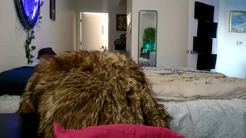 Cayla online show from 29, 3, 2026