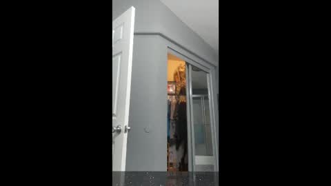 cdlisaann online show from 15, 3, 2026