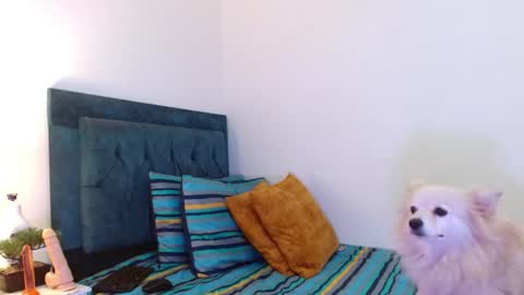 Cedrixx10 online show from 11, 11, 2025