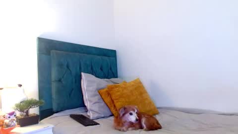 Cedrixx10 online show from 28, 2, 2026