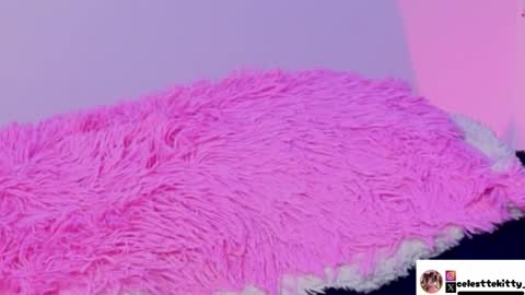 Snapshot of celestte_evans_1 chatting on 5, 12, 2025 celestte_evans_1 online show from 5, 12, 2025