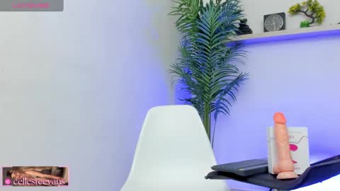 Snapshot of cellesteevans chatting on 20, 1, 2025 Celeste online show from 20, 1, 2025