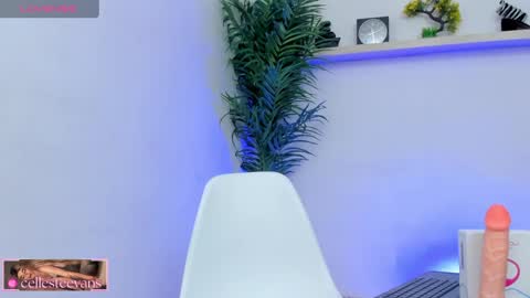 Snapshot of cellesteevans chatting on 5, 2, 2025 Celeste online show from 5, 2, 2025