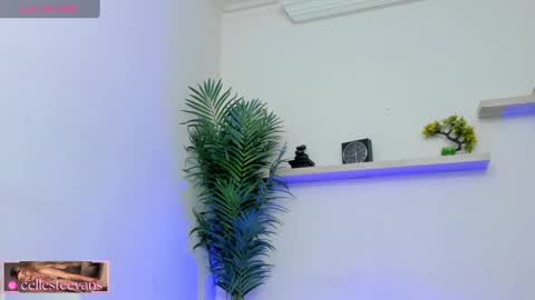 Snapshot of cellesteevans chatting on 21, 2, 2025 Celeste online show from 21, 2, 2025