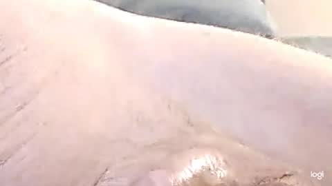 Snapshot of cfnmkinky28 chatting on 17, 12, 2024 cfnmkinky28 online show from 17, 12, 2024