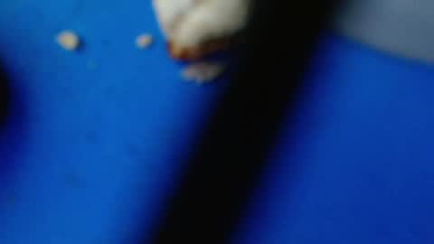 Snapshot of cguffey2284 chatting on 7, 3, 2025 cguffey2284 online show from 7, 3, 2025