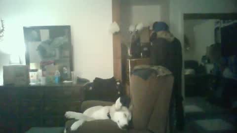 Snapshot of chad_the_blatalian chatting on 29, 10, 2025 GigaChad online show from 29, 10, 2025