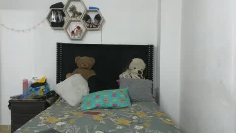 Snapshot of charlotte_027 chatting on 30, 12, 2024 charlotte_027 online show from 30, 12, 2024