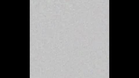 Charlotte online show from 12, 1, 2026