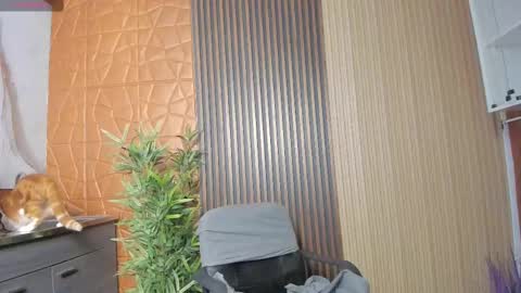 Charlotte  Everyday From 0700 to 1300 Col Time online show from 17, 2, 2025