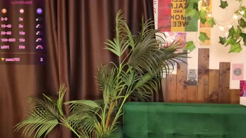 Snapshot of charming_lilly chatting on 1, 2, 2025 Lissa online show from 1, 2, 2025