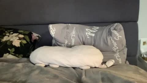 Snapshot of chase_vicky chatting on 19, 9, 2025 Vicky online show from 19, 9, 2025