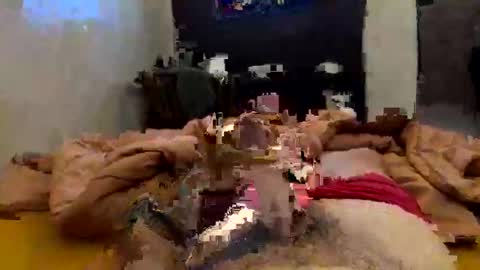 Snapshot of chasejase20333 chatting on 2, 2, 2026 chasejase20333 online show from 2, 2, 2026