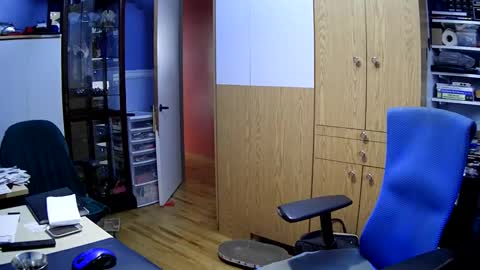 Snapshot of chatandfun666 chatting on 4, 12, 2024 wanaBeYourToy online show from 4, 12, 2024