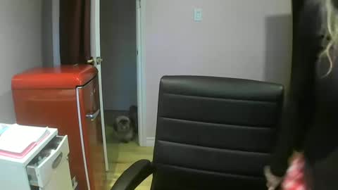 Snapshot of chealsiek chatting on 12, 10, 2025 chealsiek online show from 12, 10, 2025