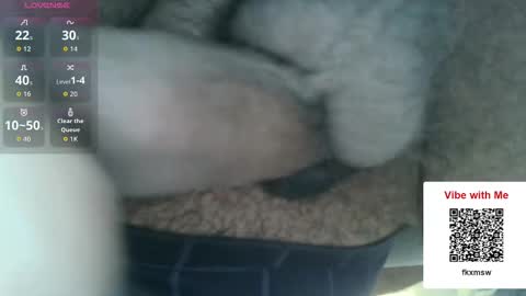 Snapshot of chefjason52 chatting on 17, 12, 2025 Fun With Daddys Dick Fantacy Room online show from 17, 12, 2025