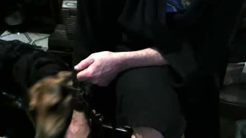 chefy online show from 3, 12, 2025