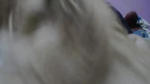 Cheila online show from 17, 11, 2025