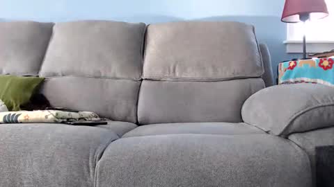 Chelsea online show from 3, 12, 2025