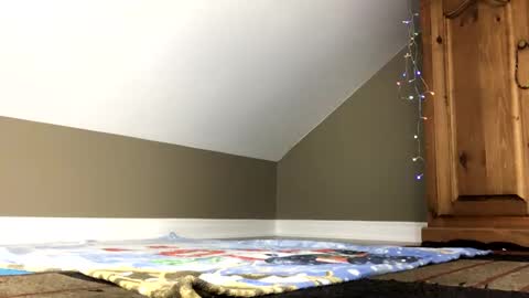 Snapshot of chenovich chatting on 4, 1, 2025 chenovich online show from 4, 1, 2025