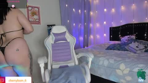  dayis independent model  online show from 2, 4, 2026