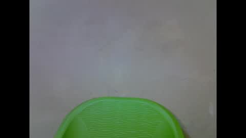 cherryxpussy online show from 11, 11, 2025