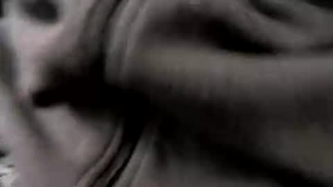 chicagosuburbs7 online show from 16, 1, 2026