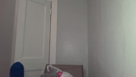 chocolatedolla online show from 4, 3, 2025