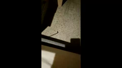 Snapshot of chrisgogo121 chatting on 17, 11, 2025 chrisgogo121 online show from 17, 11, 2025