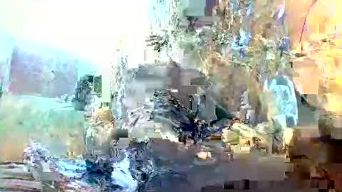 christopher1087 online show from 3, 2, 2026