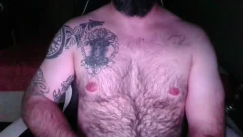 chub bear 99 online show from 11, 4, 2026