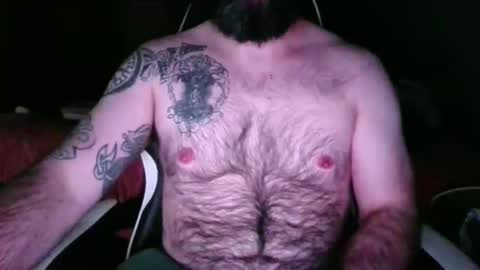 Snapshot of chub_bear_99 chatting on 17, 5, 2026 chub bear 99 online show from 17, 5, 2026
