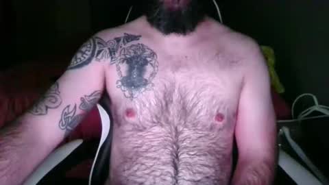 Snapshot of chub_bear_99 chatting on 26, 5, 2026 chub bear 99 online show from 26, 5, 2026
