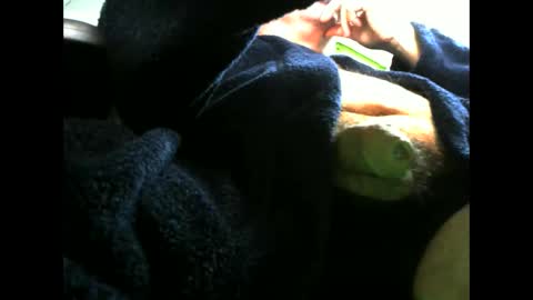 Snapshot of chubbyguy1974xx chatting on 29, 11, 2025 BigGuy1974 online show from 29, 11, 2025